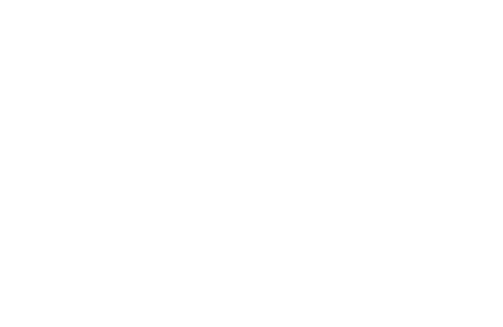 Ceschia Logo